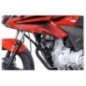 SW-Motech SBL.01.694.10000/B Barra di protezione motore Nero per Honda CBF 125 (09-15)